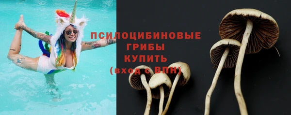 первитин Зеленодольск