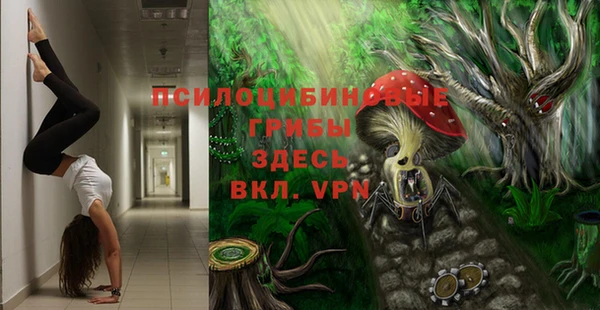 хмурый Тында
